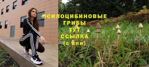 метадон Абаза